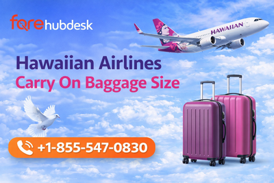 What are the Hawaiian Airlines Baggage Policy Rules?