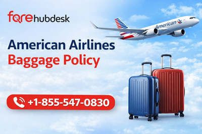 American Airlines Checked Baggage Size 2026 Guide