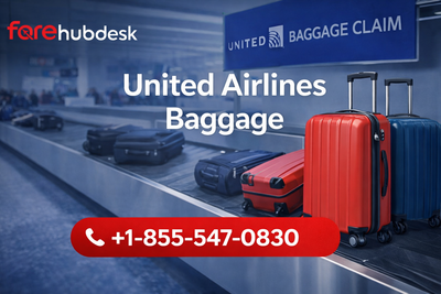 Does United Include a Checked Bag?