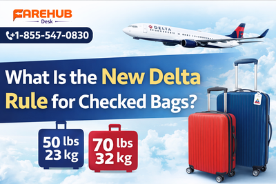 What Is the New Delta Rule for Checked Bags?
