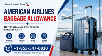 American Airlines Baggage Allowance: How Much Does International Baggage Cost?