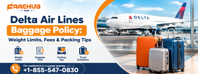 Delta Air Lines Baggage Policy: Weight Limits, Fees & Packing Tips