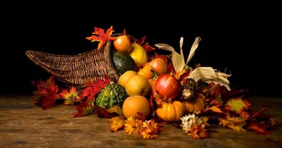 Art of the Feast image