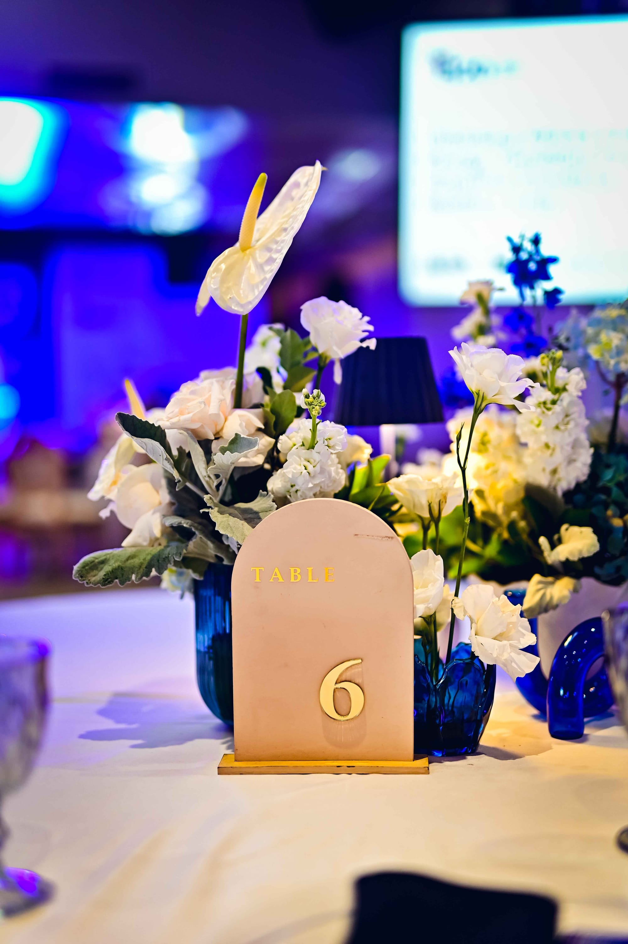 B20 SOUTH AFRICA 2025