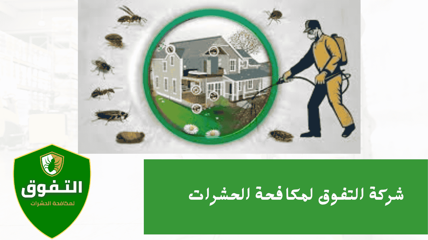 أفضل شركة مكافحة حشرات | التفوق للمكافحة الحشرات