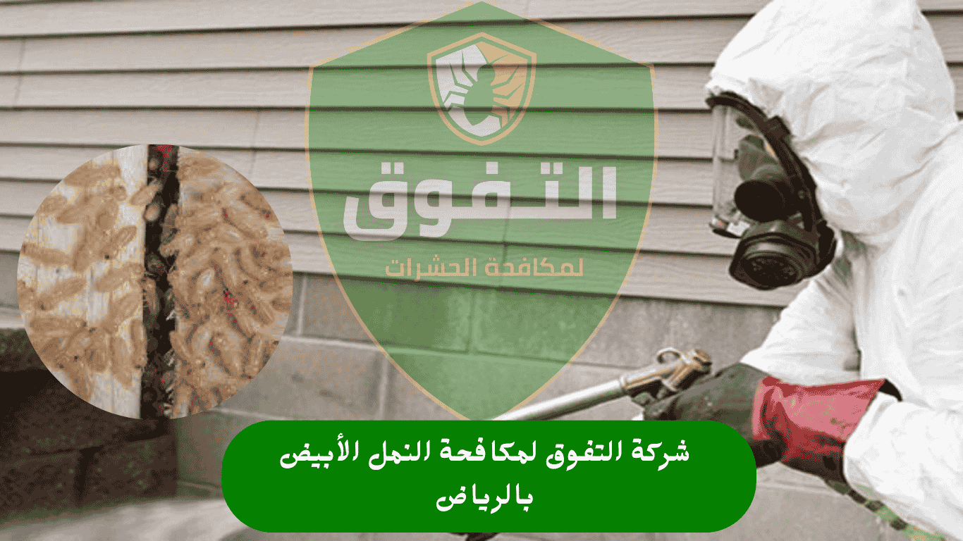أفضل شركة مكافحة النمل الأبيض بالرياض