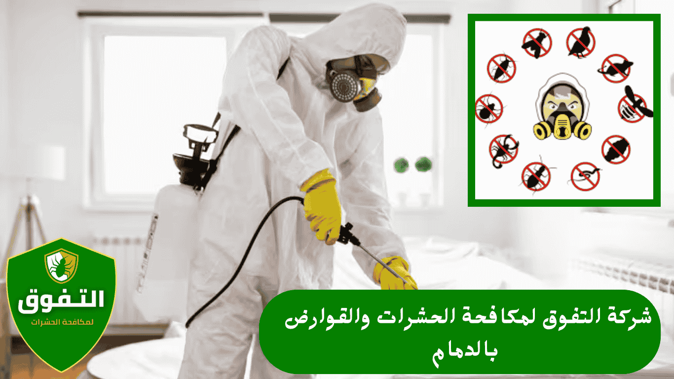 مكافحة الحشرات في الدمام مع شركة التفوق لمكافحة الحشرات