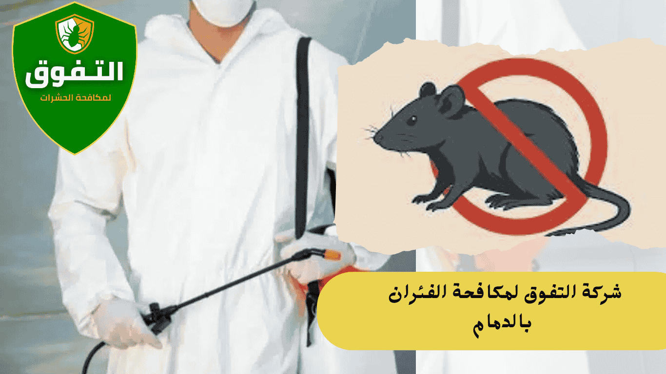 شركة مكافحة الفئران والقوارض بالدمام | شركة التفوق