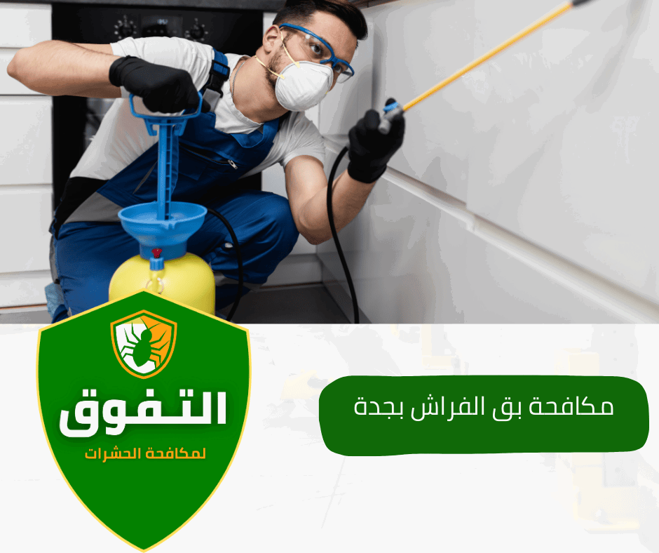شركة مكافحة بق الفراش بجدة | شركة التفوق