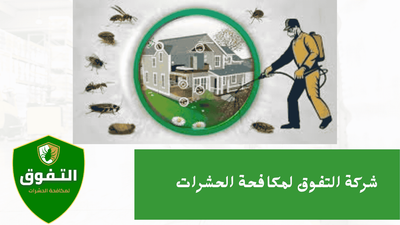 أفضل شركة مكافحة حشرات | التفوق للمكافحة الحشرات