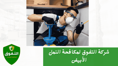 مكافحة النمل الأبيض في شركة التفوق للمكافحة