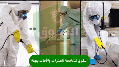 شركة مكافحة الحشرات والآفات في جدة | شركة التفوق