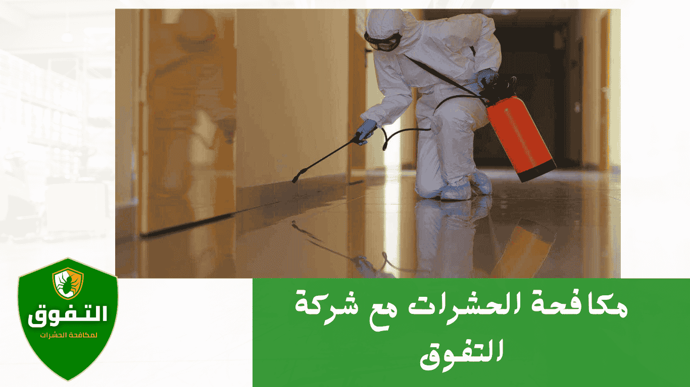 أفضل شركة مكافحة للحشرات بالسعودية شركة التفوق للمكافحة