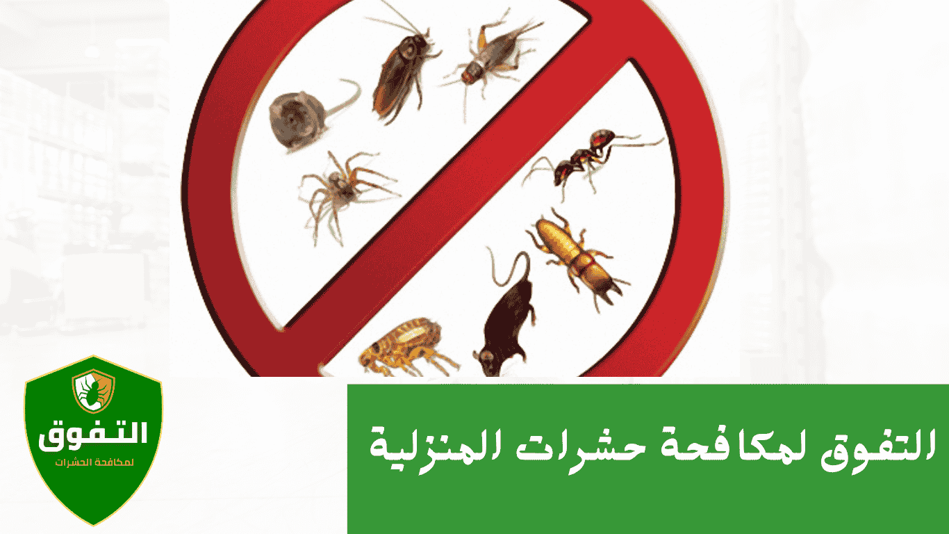 شركة التفوق لمكافحة الحشرات المنزلية والتخلص منها بشكل نهائي في السعودية