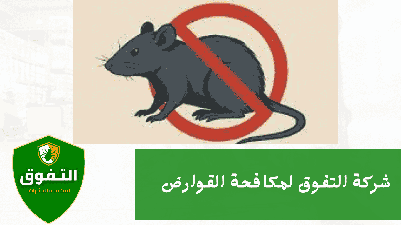 مكافحة القوارض والجرذان مع شركة التفوق للمكافحة في السعودية