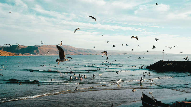 People, places, and ordinary moments worth remembering