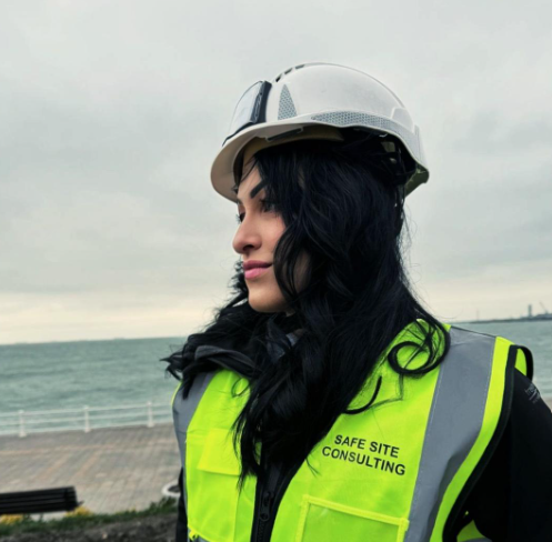 Experienta profesionala