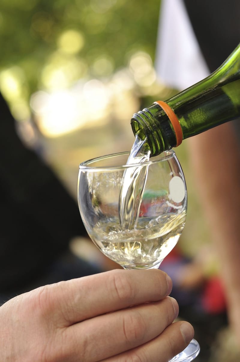 Fete des Vendanges