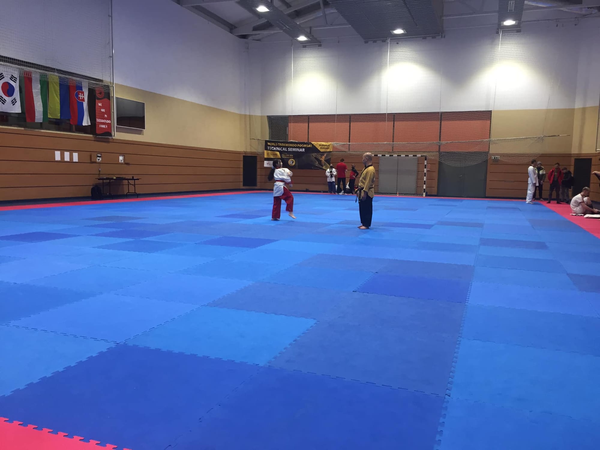 2ND WORLD TAEKWONDO POOMSAE TECHNICAL SEMINAR - GM KY TU DANG & 2ND YELLOW SEA CUP, BUDAPEST HUNGARY 2022