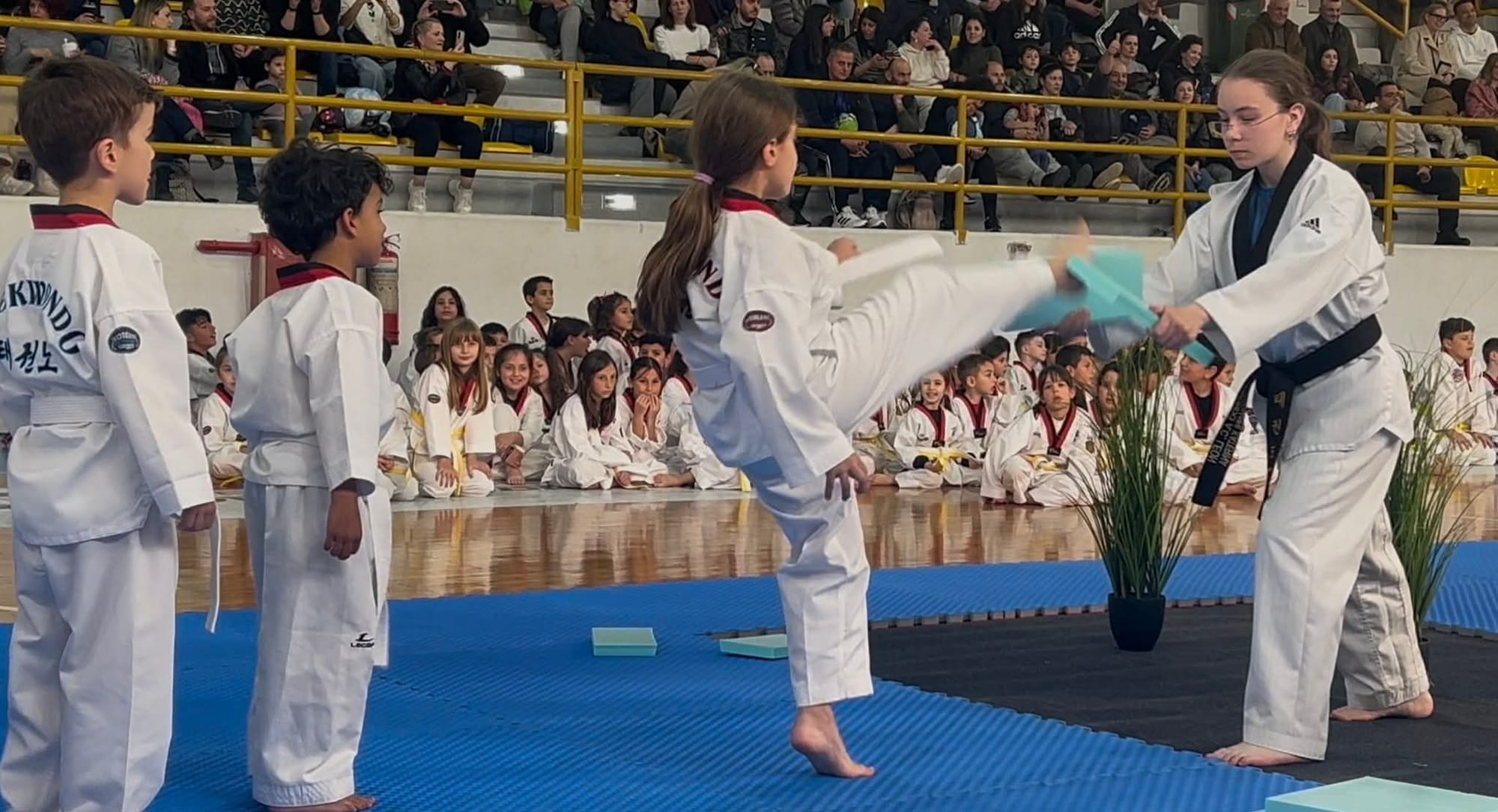 ΠΡΟΑΓΩΓΙΚΕΣ ΕΞΕΤΑΣΕΙΣ, ΠΑΤΡΑ 2026