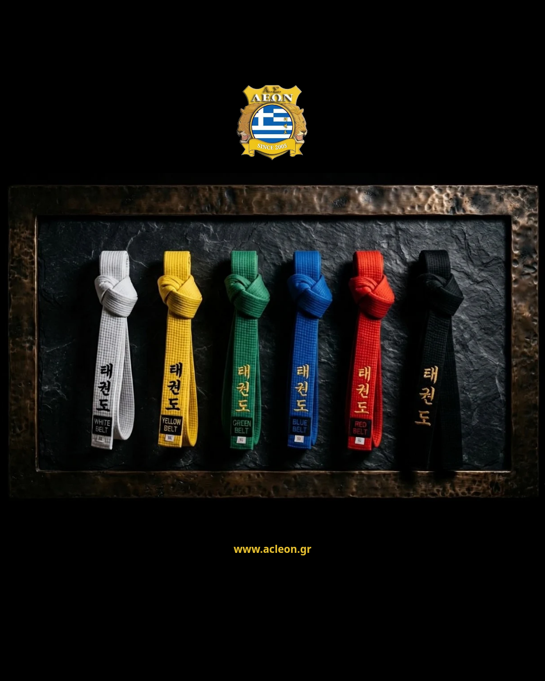 Η Φιλοσοφία και ο Συμβολισμός των Ζωνών στο Taekwondo