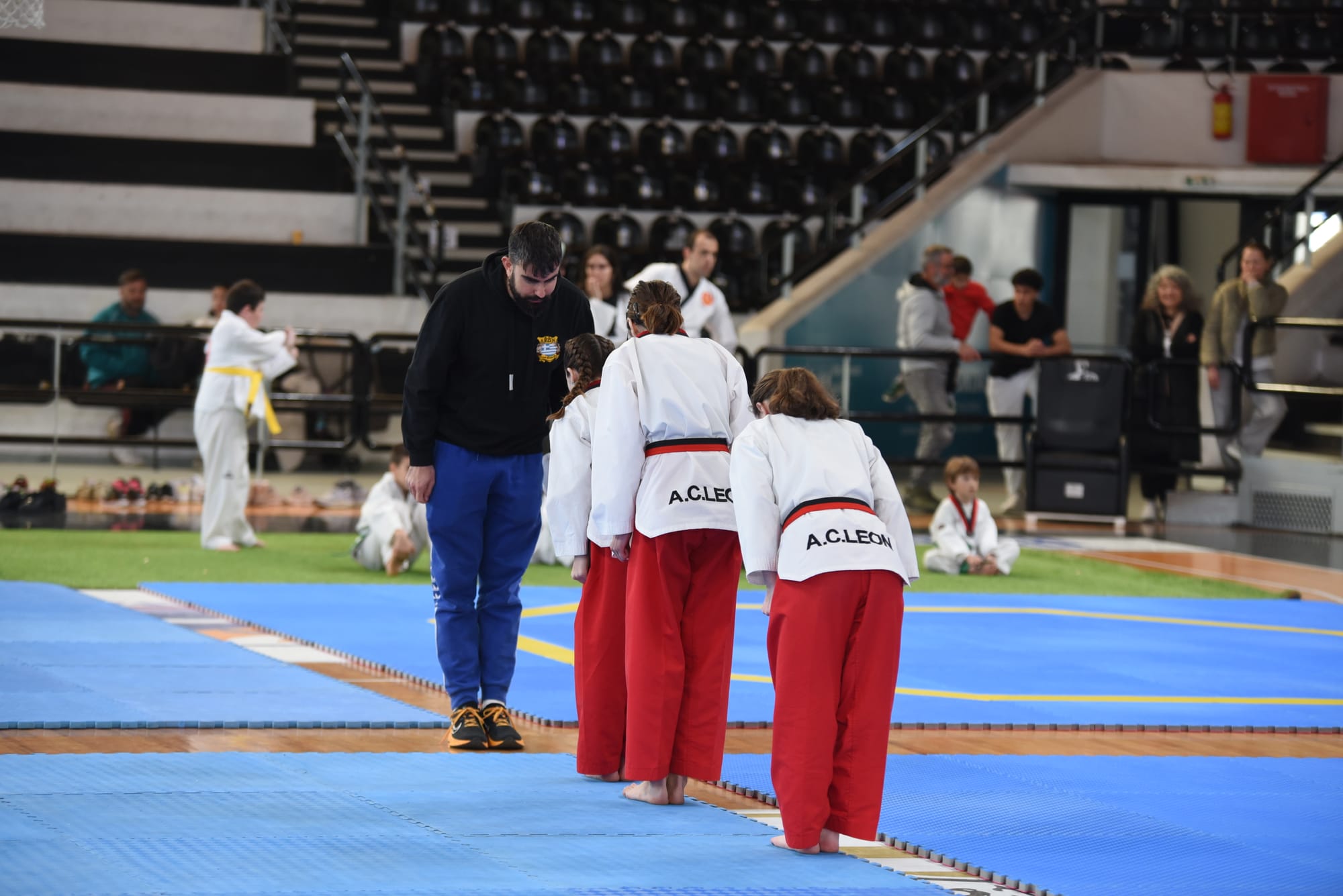 Οι 5 Θεμελιώδεις Αρχές του Taekwondo