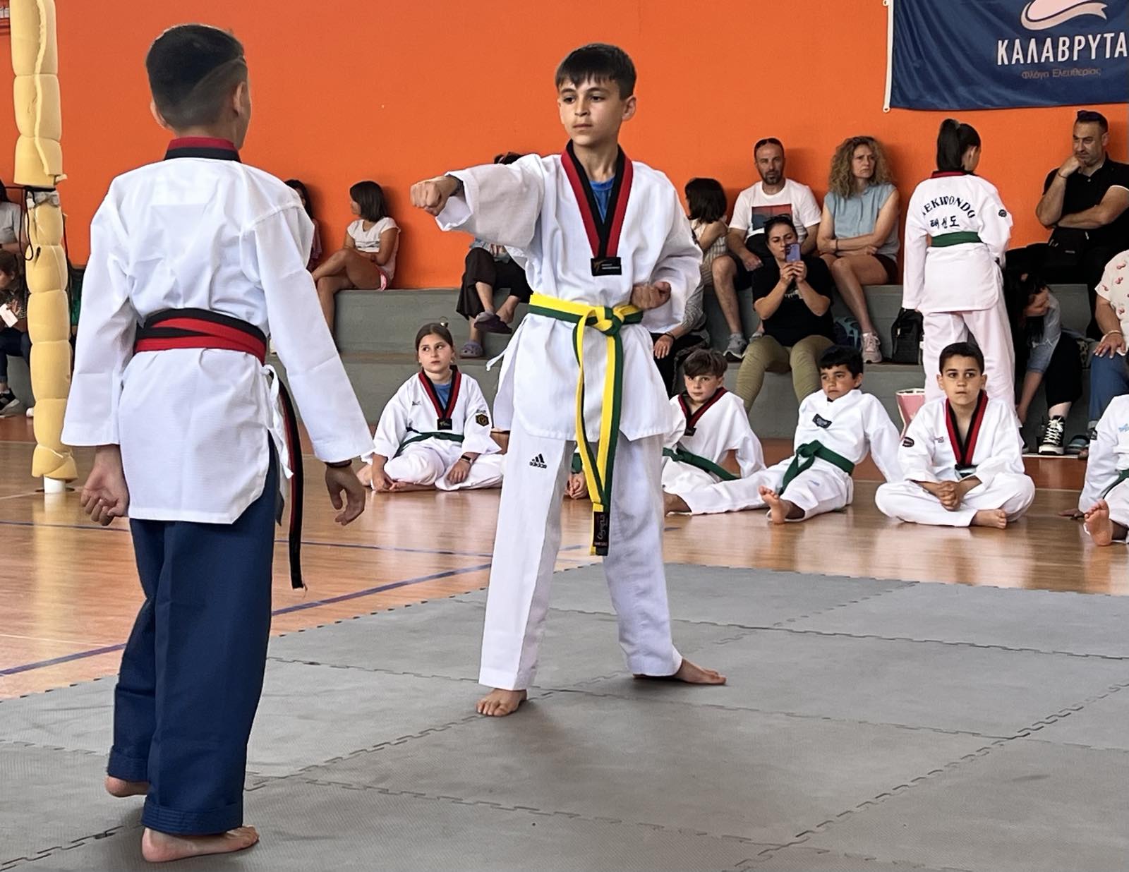 TAEKWONDO EXHIBITION, ΚΑΛΑΒΡΥΤΑ 2026