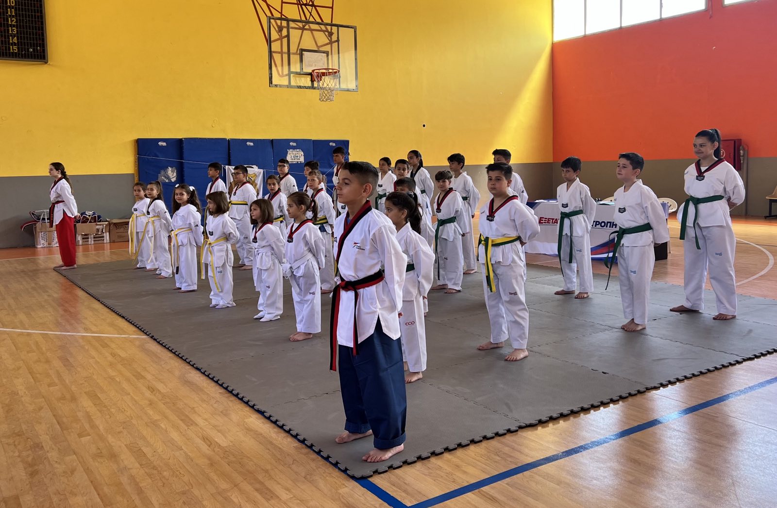 TAEKWONDO EXHIBITION, ΚΑΛΑΒΡΥΤΑ 2026