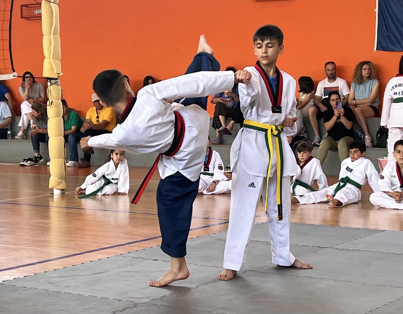 TAEKWONDO EXHIBITION, ΚΑΛΑΒΡΥΤΑ 2026