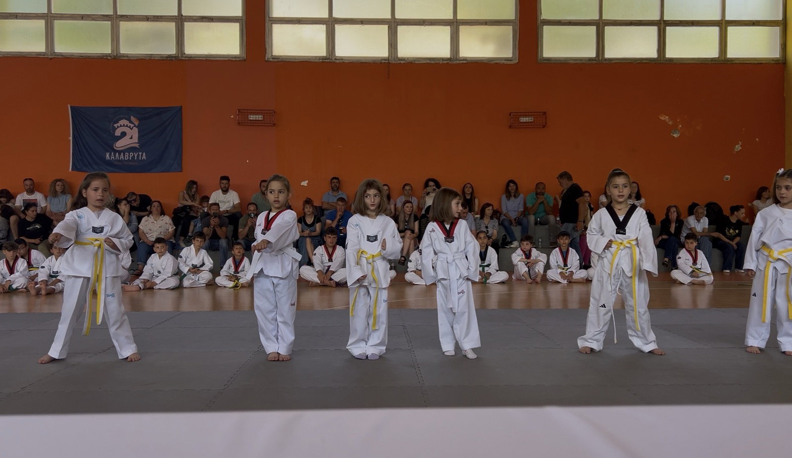 TAEKWONDO EXHIBITION, ΚΑΛΑΒΡΥΤΑ 2026