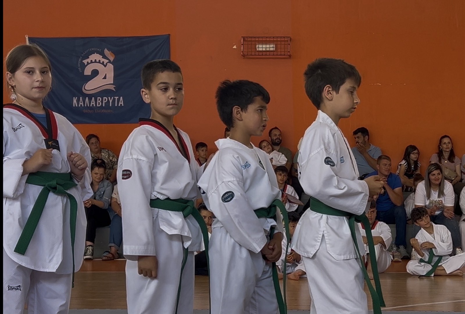 TAEKWONDO EXHIBITION, ΚΑΛΑΒΡΥΤΑ 2026