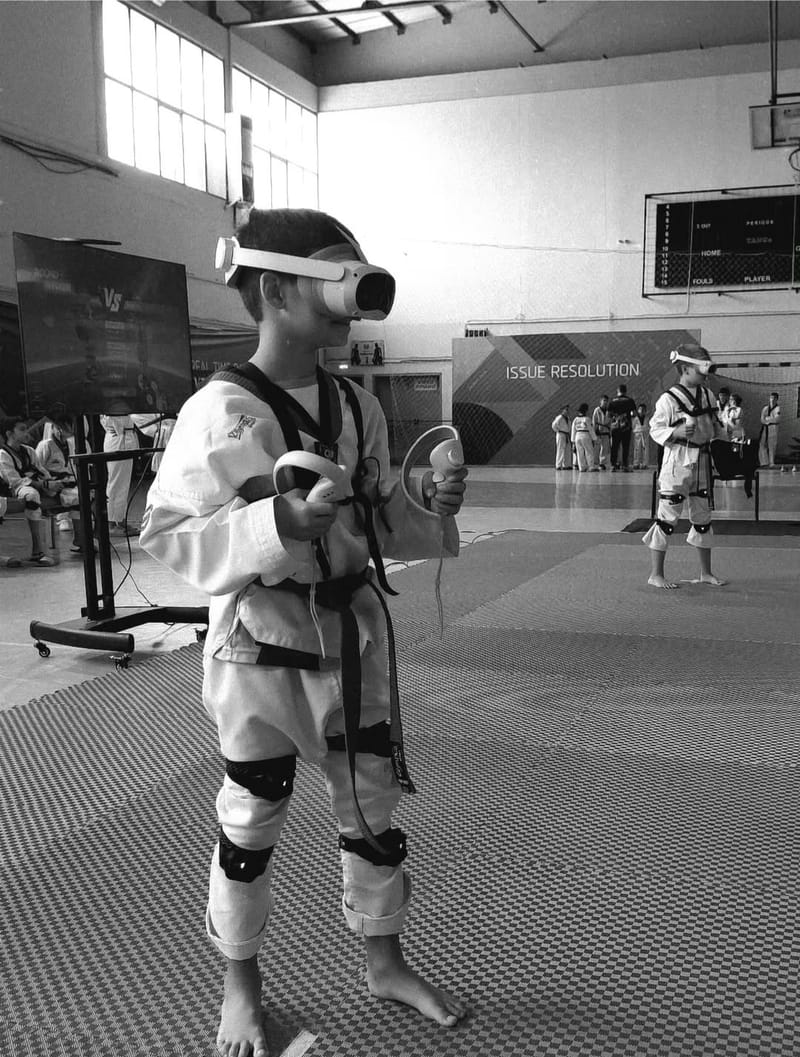 VIRTUAL TAEKWONDO 