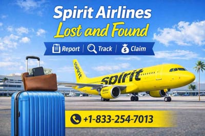 {[Spirit Airlines Lost and Found]} : How to Recover Lost Items