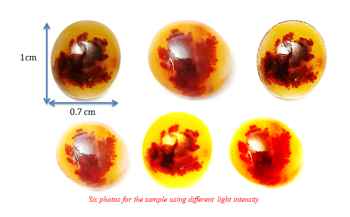 Fossilized Plant Inclusion in Natural Yemeni Agate. A Rare Case of Bio-Mineral Preservation