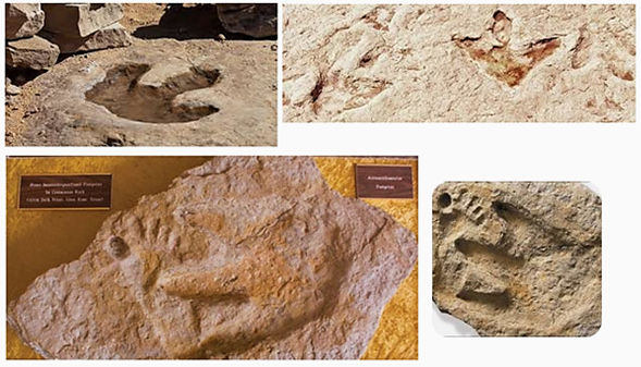 Could Dinosaurs Have Coexisted with-Humans