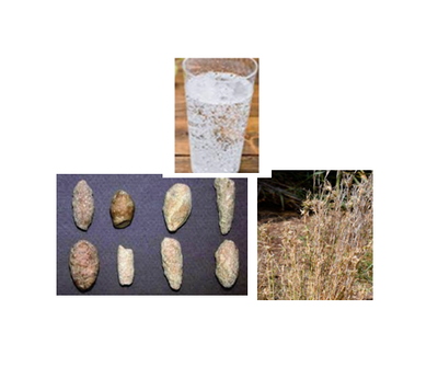 Sometimes Returning to traditional folk ancient medicine can be very useful and effective