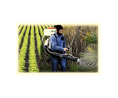 Development of a Simple Formulation for a Novel Multifunctional "Nano-Super-Soil-Fertilizer-Spray