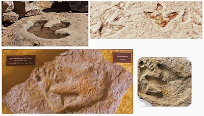 Could Dinosaurs Have Coexisted with-Humans