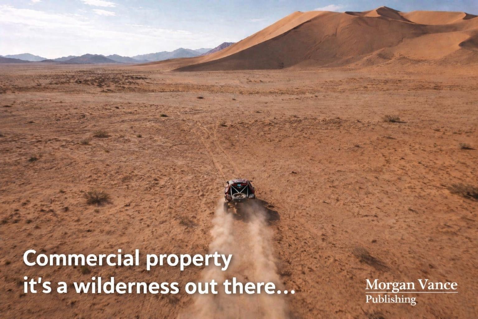 Commercial Property, its a Wilderness out there!