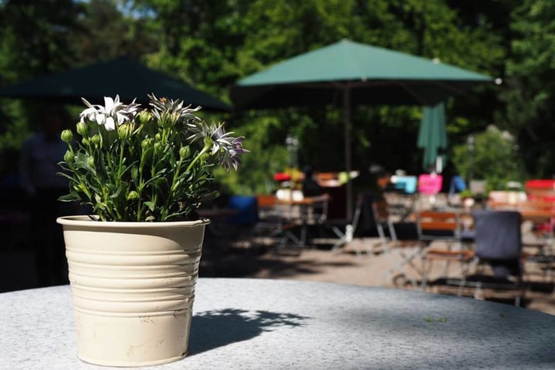 Gastronomie im Grünen