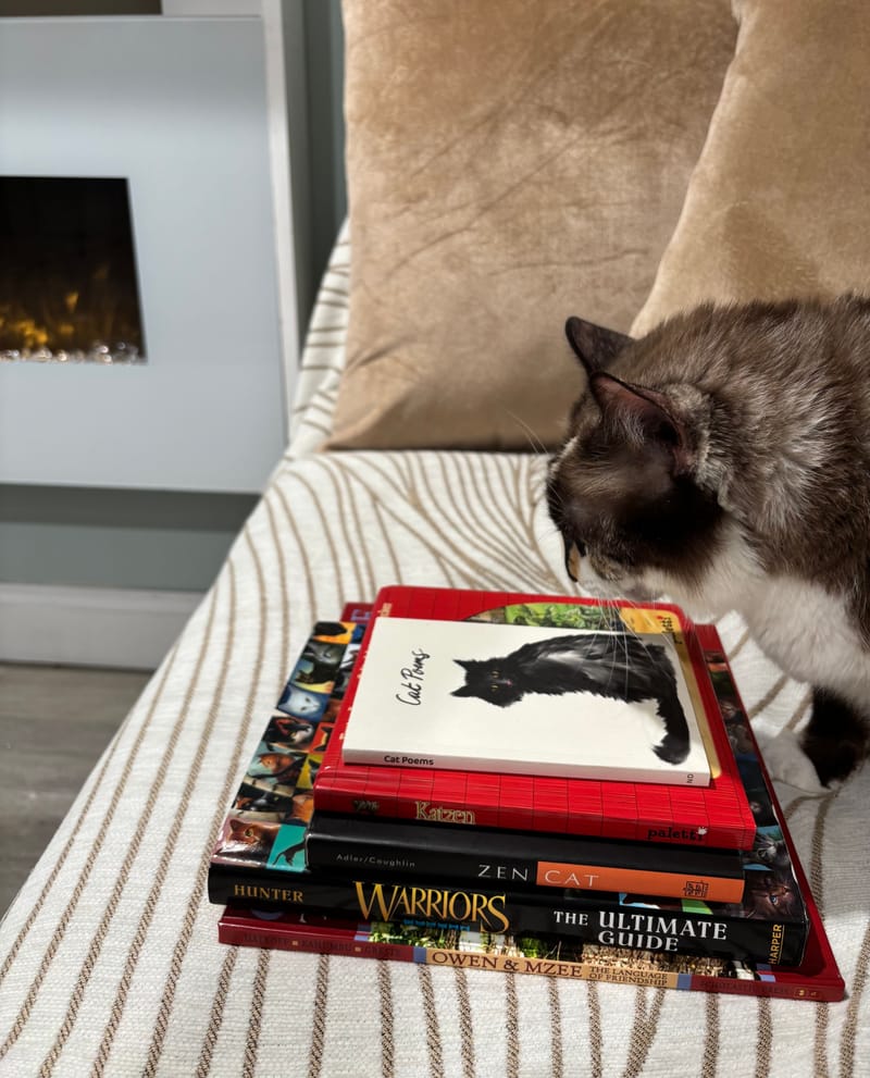 Nightly Bedtime Story and Tuck In time