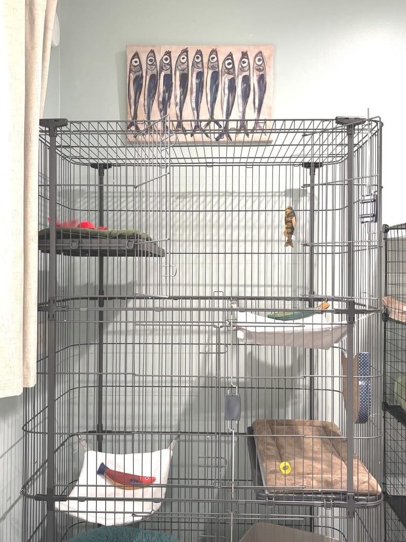 The River - $27.00/Day