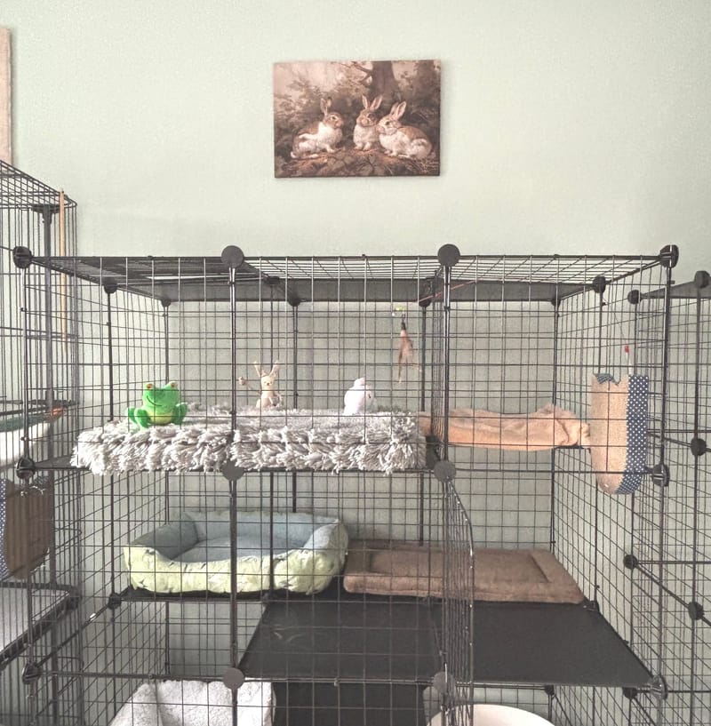 The Forest - $27.00/Day