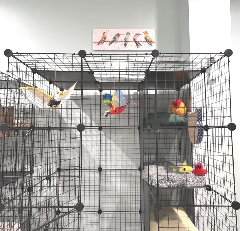 The Aviary - $27.00/Day