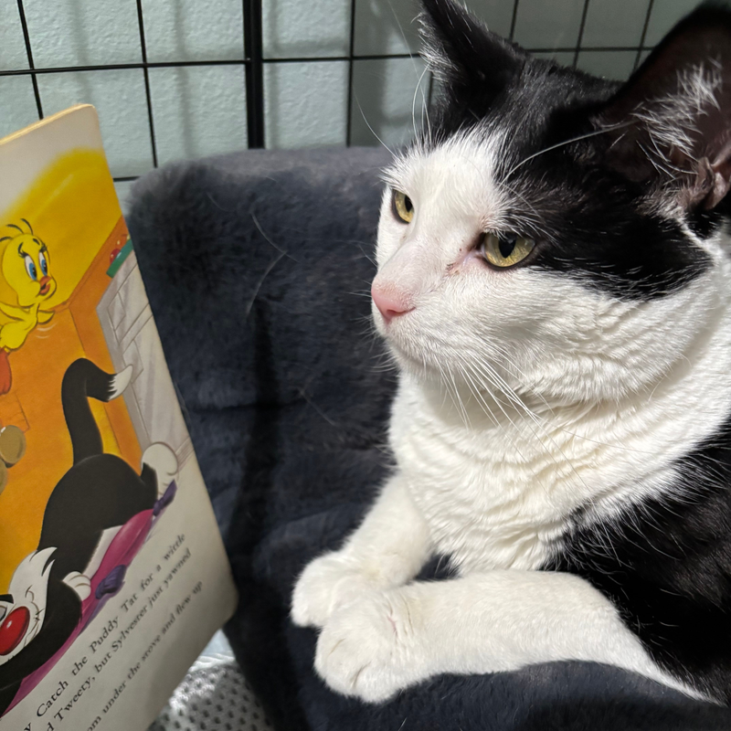 Story time
