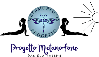 my-metamorfosis