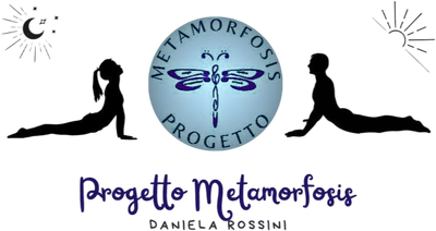 my-metamorfosis