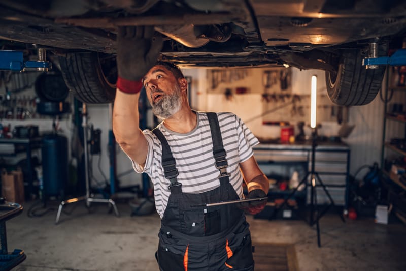 الفحص السفلي والعضلات