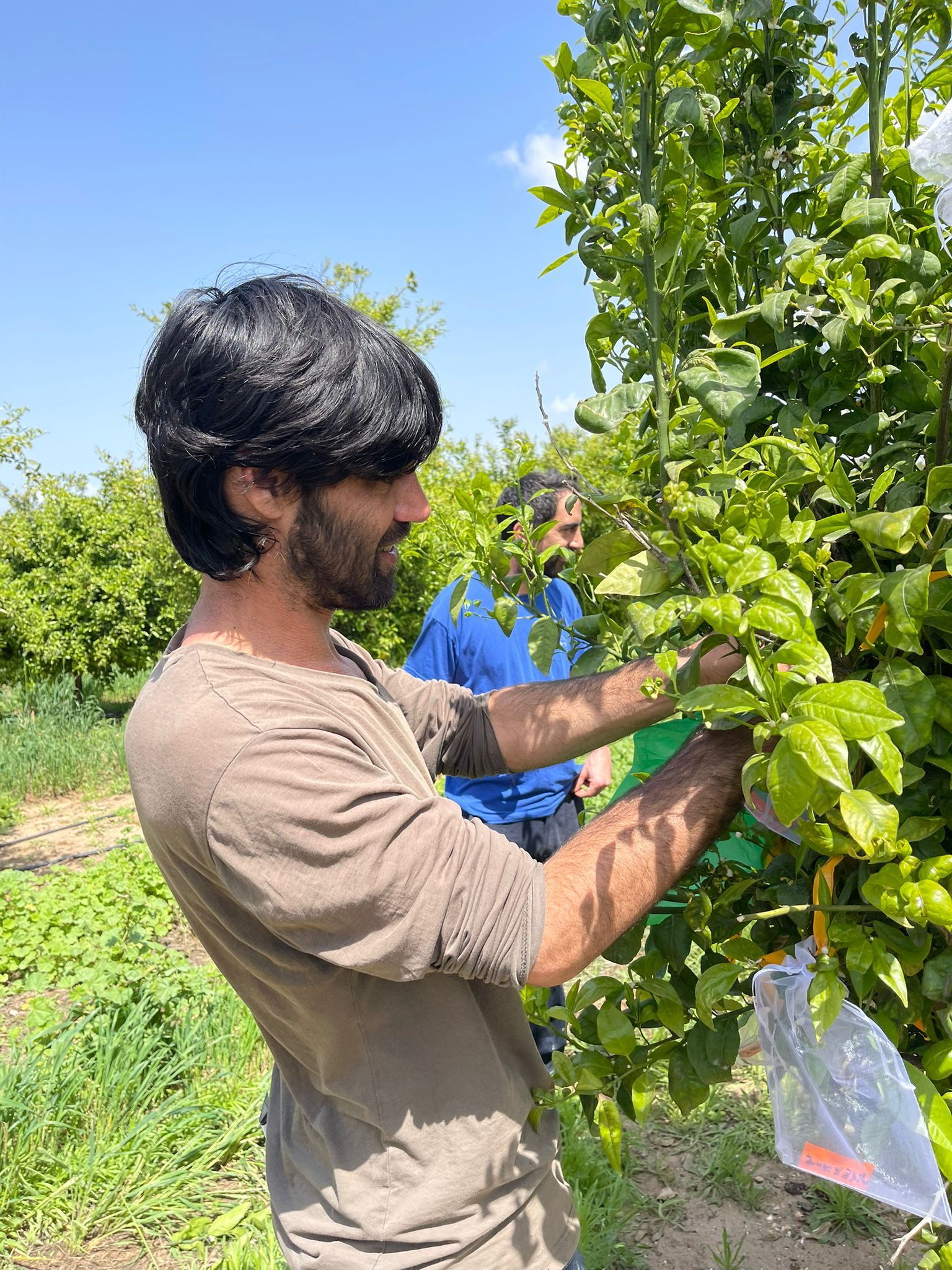 Crossing Season 2026