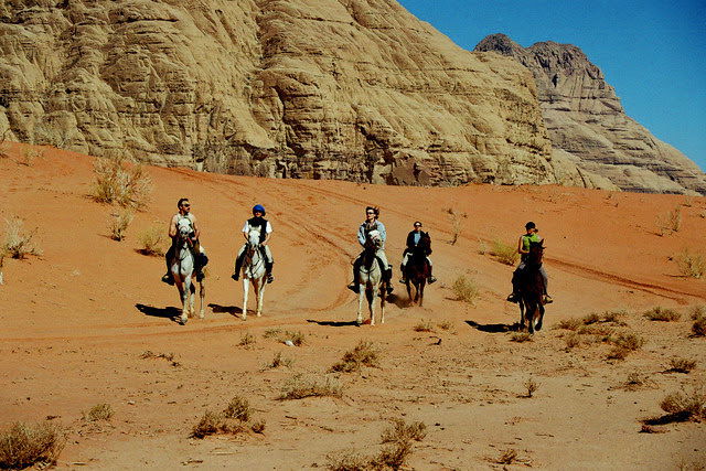 Wadi rum horse and camel safari